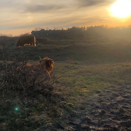 De Bosrand Grenzend Aan Het Bos Villa Castricum Eksteriør billede