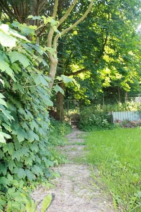 De Bosrand Grenzend Aan Het Bos Villa Castricum Eksteriør billede