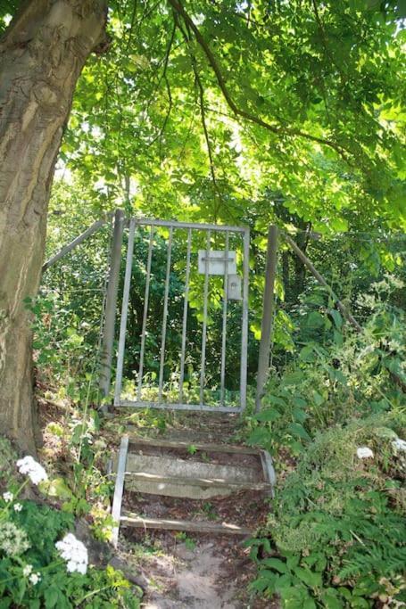De Bosrand Grenzend Aan Het Bos Villa Castricum Eksteriør billede