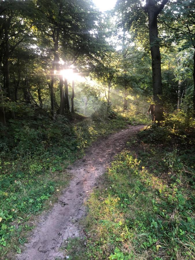 De Bosrand Grenzend Aan Het Bos Villa Castricum Eksteriør billede